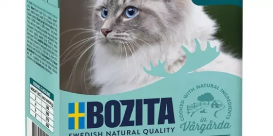 Bozita Cat Tetra Recard Häppchen in Gelee Schellfisch 370g ansehen