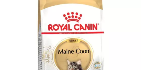 Royal Canin Feline Maine Coon - 10 kg ansehen