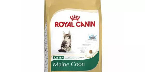 Royal Canin Feline Maine Coon Kitten - 400 g ansehen