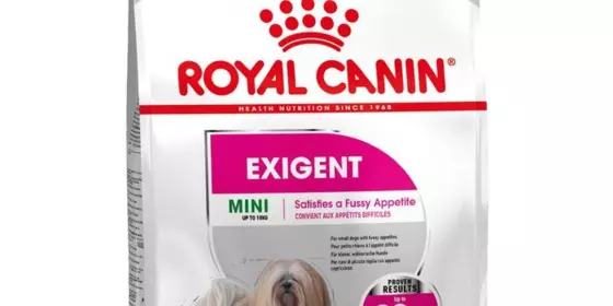 Royal Canin Feline Savour Exigent - 2 kg ansehen