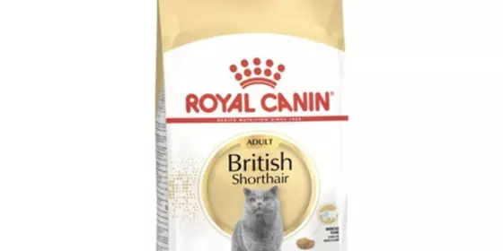 Royal Canin Feline British Shorthair - 400 g ansehen