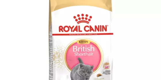 Royal Canin Feline British Shorthair Kitten - 400 g ansehen