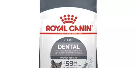 Royal Canin Feline Dental Care - 400 g ansehen