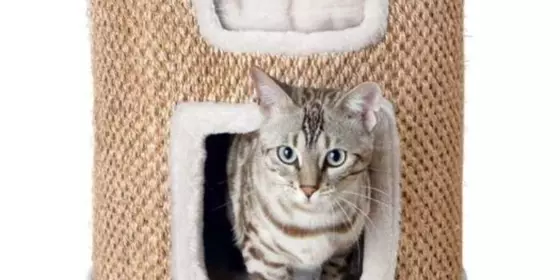 Trixie Cat Tower Ria ansehen