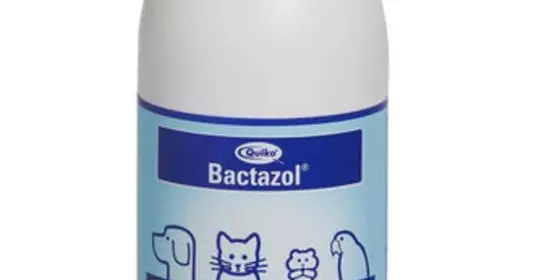 Bactazol Geruchsentferner 80 ml ansehen