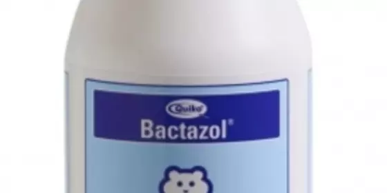 Bactazol Desinfektionsmittel 500 ml ansehen
