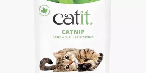 Catit Echte kanadische Katzenminze - 14g ansehen